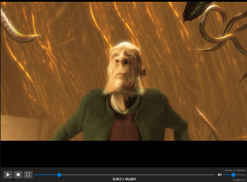 Video Player